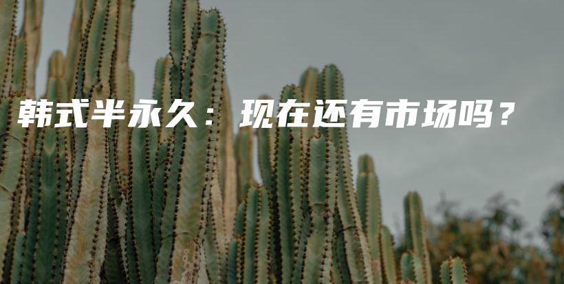 韩式半永久：现在还有市场吗？插图