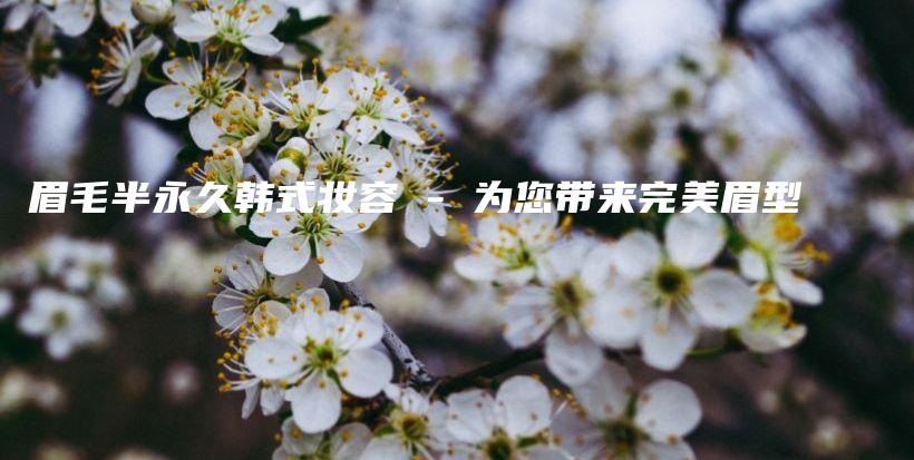 眉毛半永久韩式妆容 – 为您带来完美眉型插图