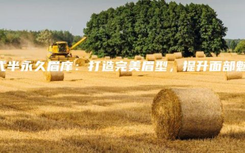 韩式半永久眉庠：打造完美眉型，提升面部魅力