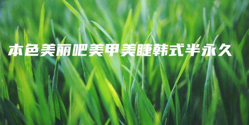本色美丽吧美甲美睫韩式半永久插图