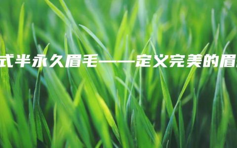 韩式半永久眉毛——定义完美的眉形