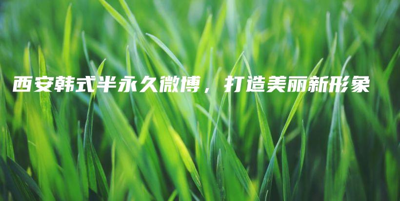 西安韩式半永久微博，打造美丽新形象插图