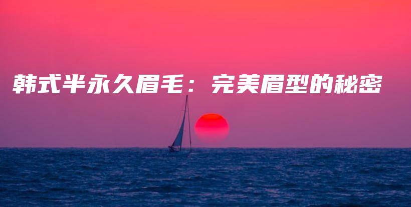 韩式半永久眉毛：完美眉型的秘密插图