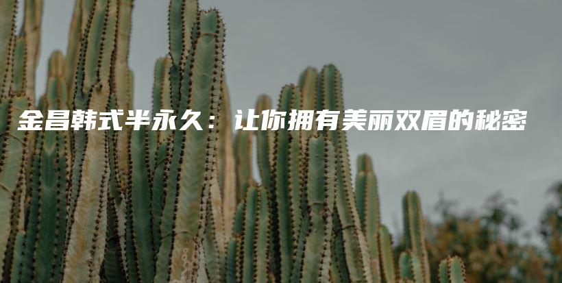 金昌韩式半永久：让你拥有美丽双眉的秘密插图