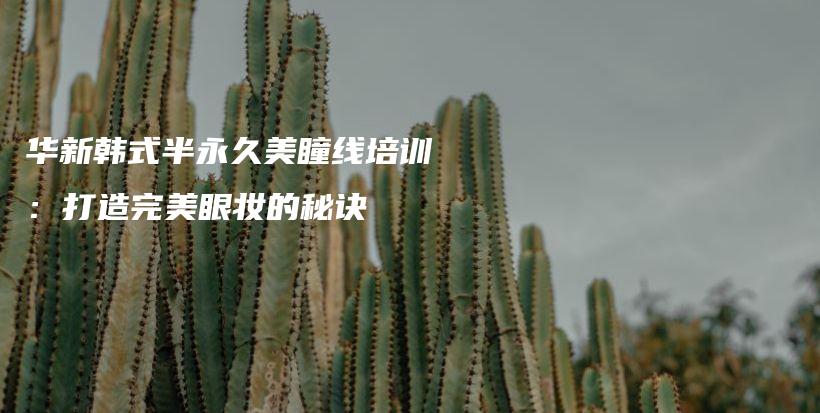 华新韩式半永久美瞳线培训：打造完美眼妆的秘诀插图