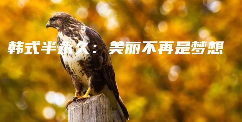 韩式半永久：美丽不再是梦想插图