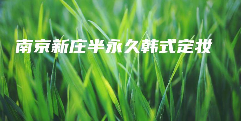 南京新庄半永久韩式定妆插图