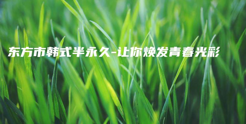 东方市韩式半永久-让你焕发青春光彩插图