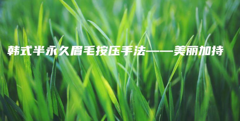 韩式半永久眉毛按压手法——美丽加持插图
