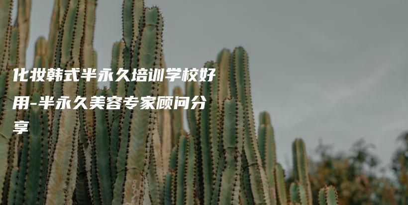 化妆韩式半永久培训学校好用-半永久美容专家顾问分享插图