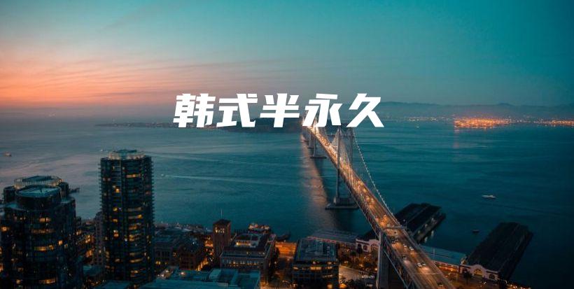 韩式半永久插图