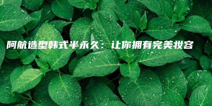 阿航造型韩式半永久：让你拥有完美妆容插图