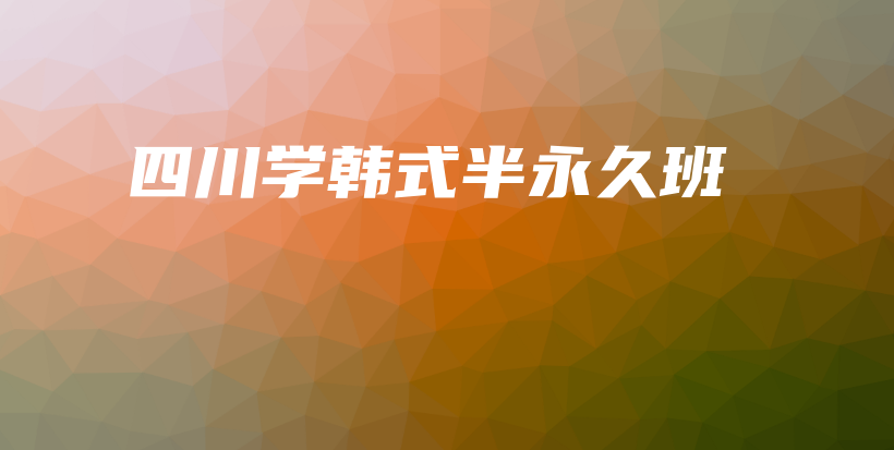 四川学韩式半永久班插图