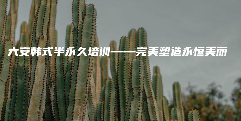 六安韩式半永久培训——完美塑造永恒美丽插图