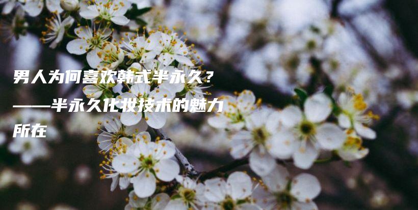 男人为何喜欢韩式半永久？——半永久化妆技术的魅力所在插图