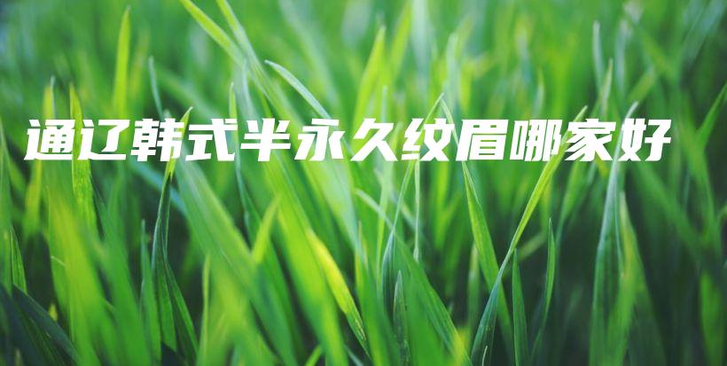 通辽韩式半永久纹眉哪家好插图