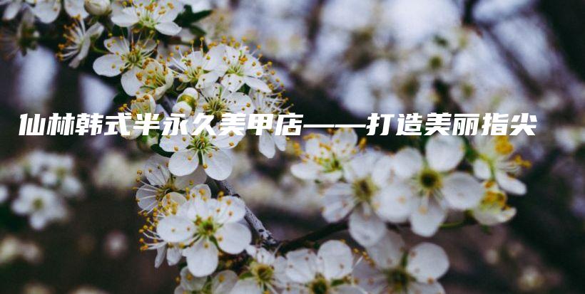 仙林韩式半永久美甲店——打造美丽指尖插图