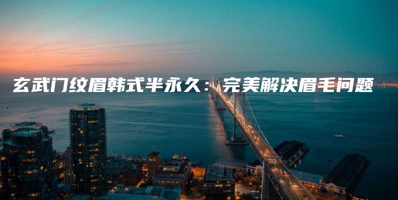 玄武门纹眉韩式半永久：完美解决眉毛问题插图