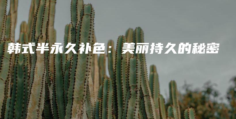 韩式半永久补色：美丽持久的秘密插图