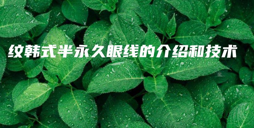 纹韩式半永久眼线的介绍和技术插图