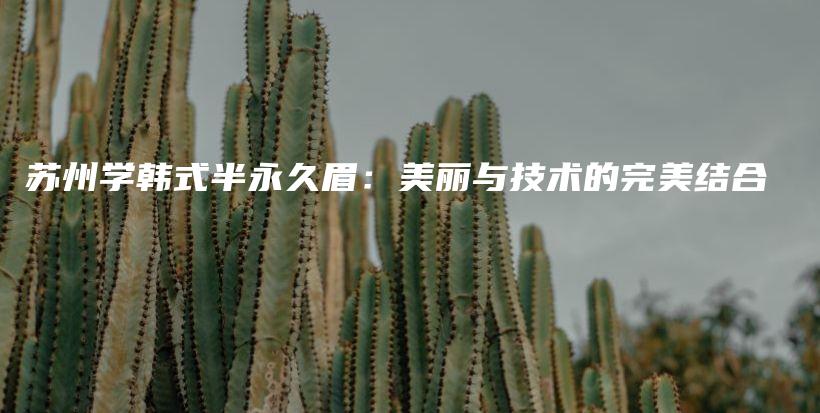 苏州学韩式半永久眉：美丽与技术的完美结合插图