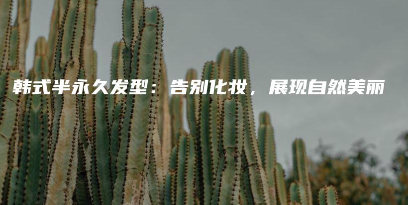 韩式半永久发型：告别化妆，展现自然美丽插图