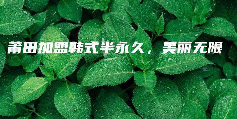 莆田加盟韩式半永久，美丽无限插图
