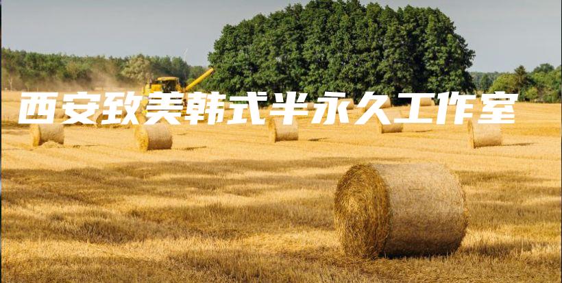 西安致美韩式半永久工作室插图