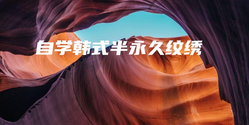 自学韩式半永久纹绣插图