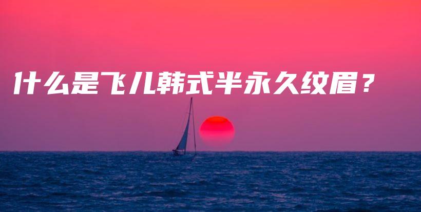 什么是飞儿韩式半永久纹眉？插图