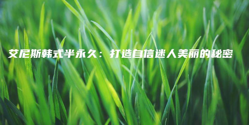 艾尼斯韩式半永久：打造自信迷人美丽的秘密插图