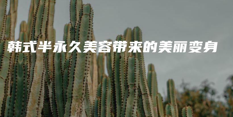 韩式半永久美容带来的美丽变身插图