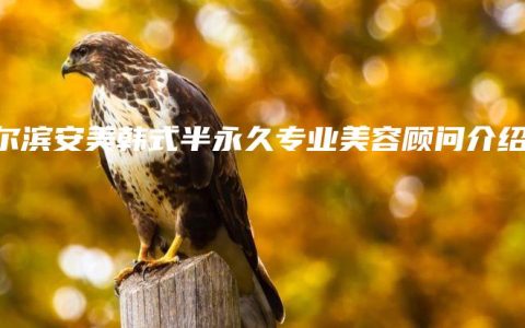 哈尔滨安美韩式半永久专业美容顾问介绍