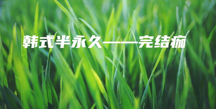 韩式半永久——完结痂插图
