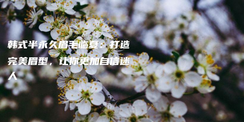 韩式半永久眉毛临夏：打造完美眉型，让你更加自信迷人插图