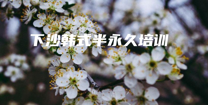 下沙韩式半永久培训插图