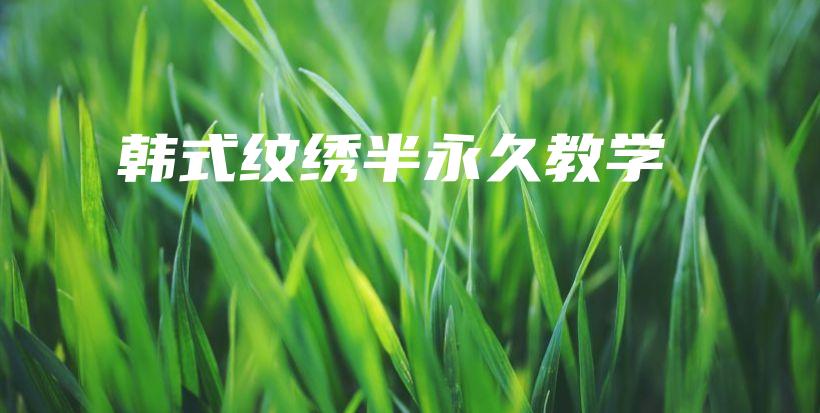 韩式纹绣半永久教学插图
