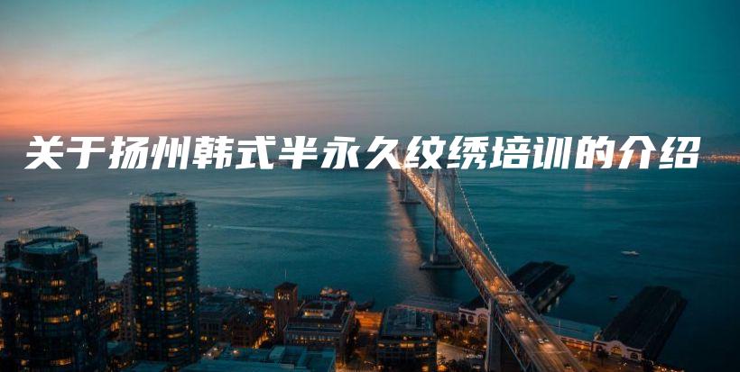 关于扬州韩式半永久纹绣培训的介绍插图