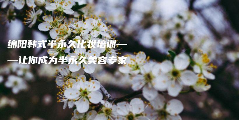 绵阳韩式半永久化妆培训——让你成为半永久美容专家插图