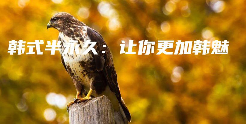 韩式半永久：让你更加韩魅插图