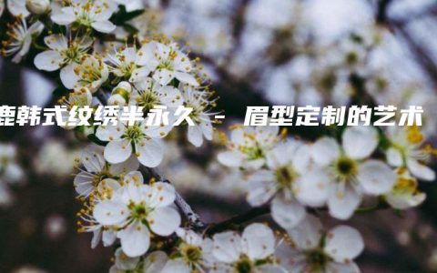 雅鹿韩式纹绣半永久 – 眉型定制的艺术