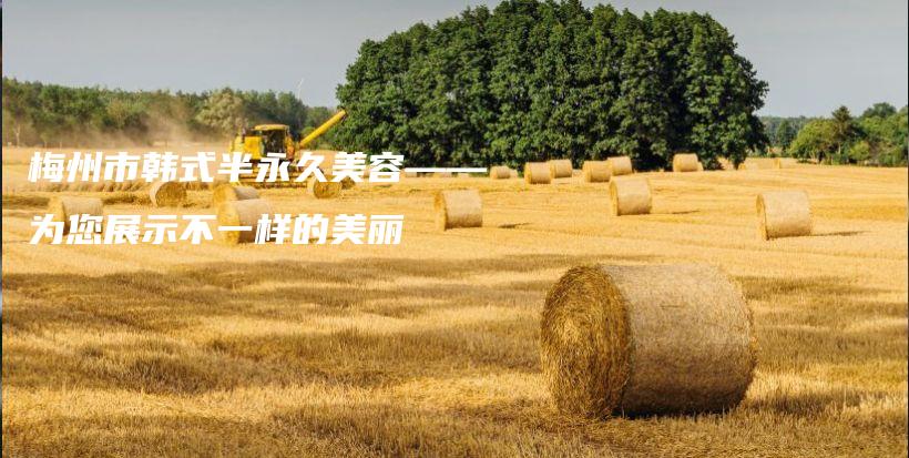梅州市韩式半永久美容——为您展示不一样的美丽插图