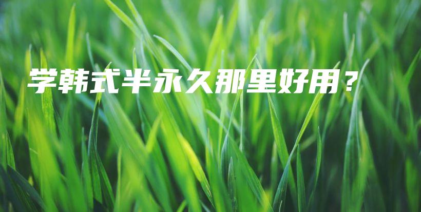 学韩式半永久那里好用？插图