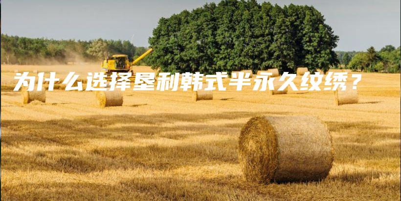 为什么选择垦利韩式半永久纹绣？插图