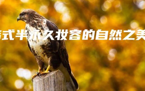 韩式半永久妆容的自然之美