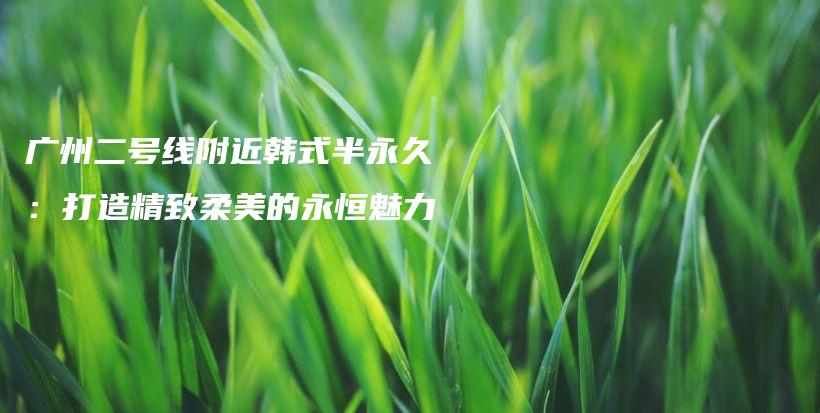 广州二号线附近韩式半永久：打造精致柔美的永恒魅力插图