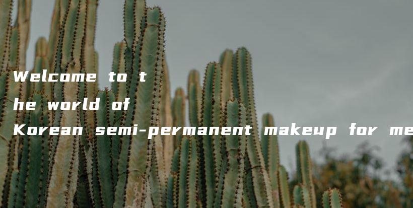 Welcome to the world of Korean semi-permanent makeup for men!插图