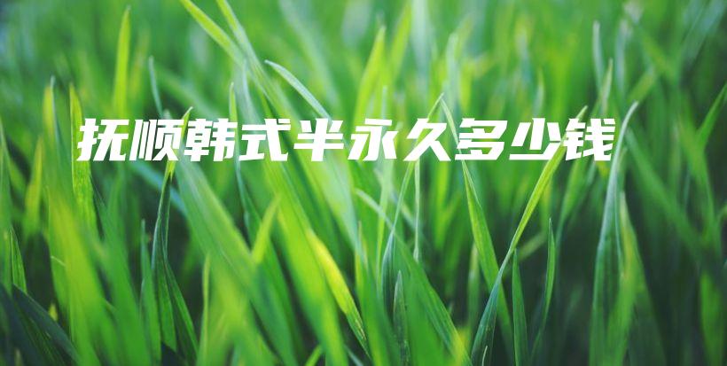 抚顺韩式半永久多少钱插图