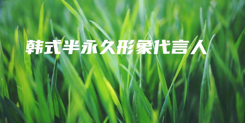 韩式半永久形象代言人插图