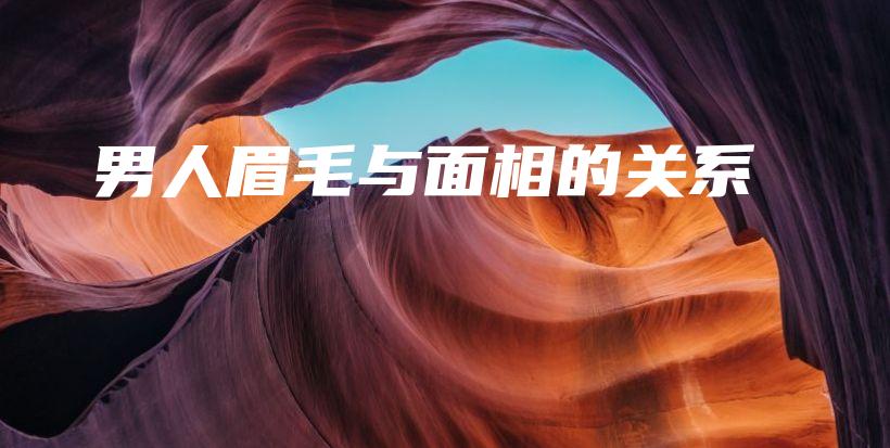 男人眉毛与面相的关系插图